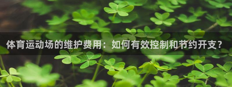 中欧体育全站app：体育运动场的维护费用：如何有效控制和节约开支？