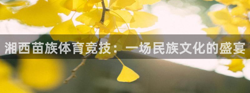 中欧体育网站：湘西苗族体育竞技：一场民族文化的盛宴