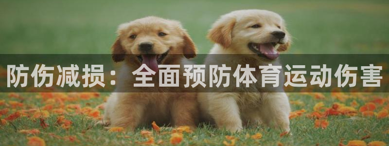 中欧体育网页版