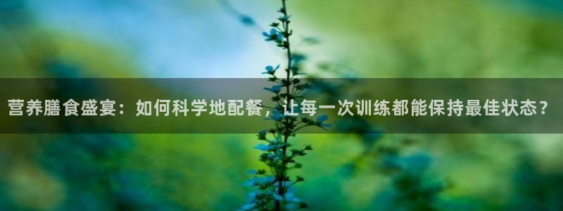 中欧体育zoty下载：营养膳食盛宴：如何科学地配餐，让每一次训练都能保持最佳状态？