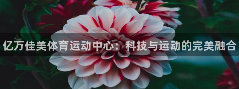 中欧体育集团：亿万佳美体育运动中心：科技与运动的完美融合