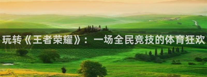 中欧体育ios：玩转《王者荣耀》：一场全民竞技的体育狂欢