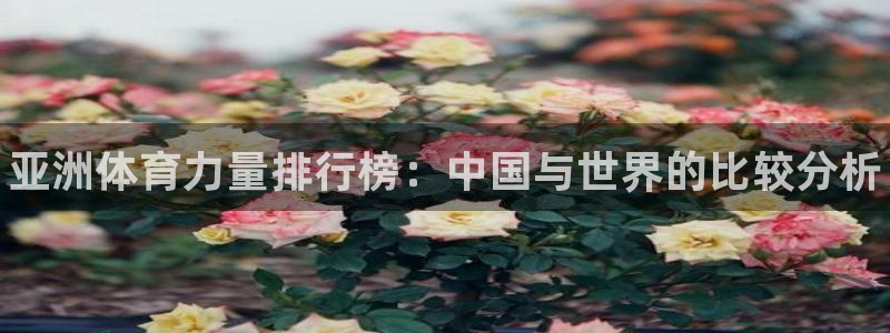 中欧体育最新地址：亚洲体育力量排行榜：中国与世界的比较分析
