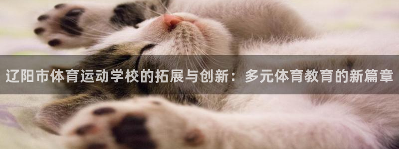 中欧体育：辽阳市体育运动学校的拓展与创新：多元体育教育的新篇章