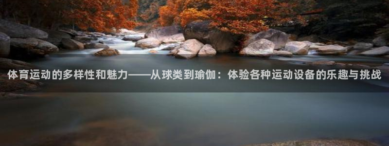 中欧体育网页版：体育运动的多样性和魅力——从球类到瑜伽：体验各种运动设备的乐趣与挑战