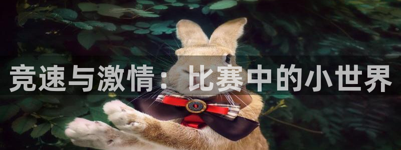 中欧体育网页版：竞速与激情：比赛中的小世界