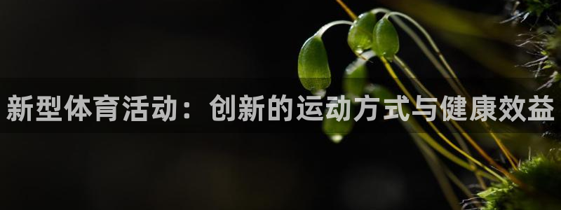 中欧体育网页版：新型体育活动：创新的运动方式与健康效益