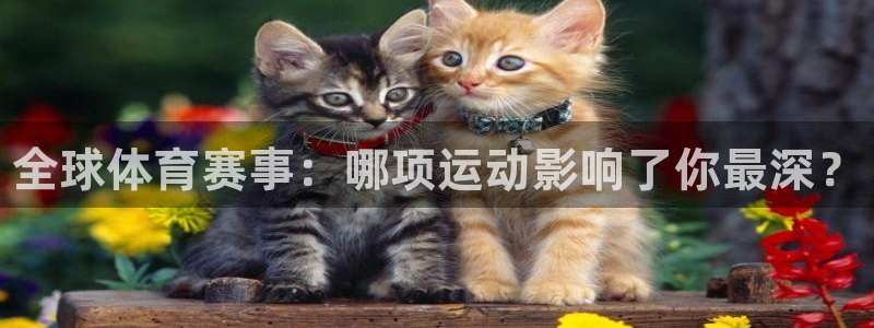 zoty中欧体育网址多少：全球体育赛事：哪项运动影响了你最深？