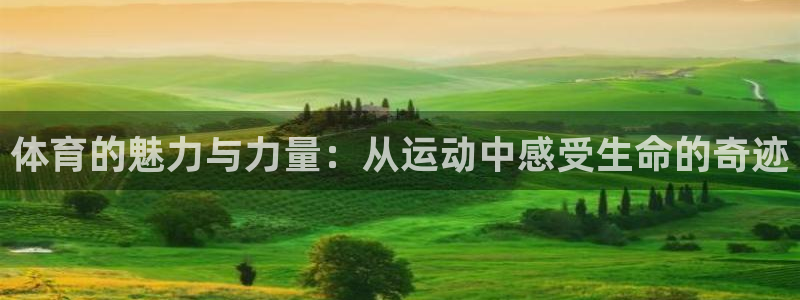 中欧体育ac米兰：体育的魅力与力量：从运动中感受生命的奇迹