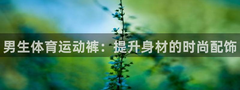 中欧体育