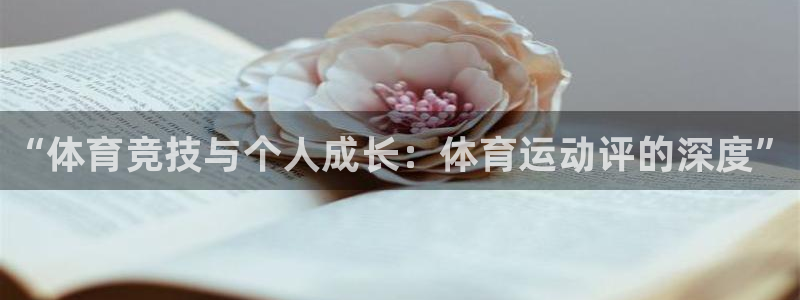 中欧体育登录