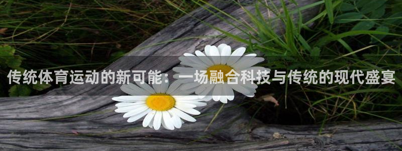 中欧体育kok官网首页