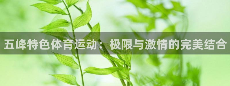 中欧体育(zoty)官网