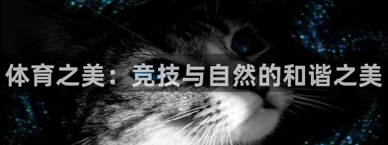 中欧体育客服