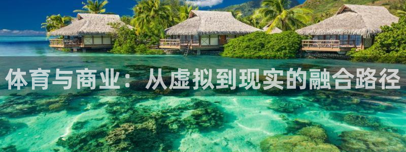中欧体育全站app