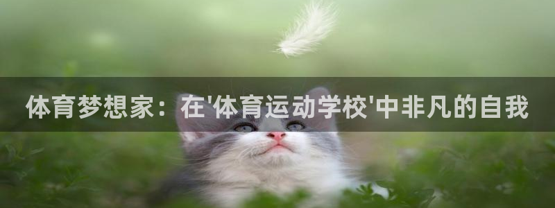 zyty中欧体育平台