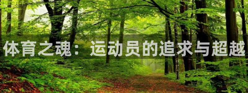 中欧体育kok官网首页
