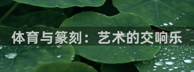 中欧体育zoty下载