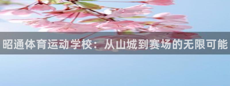 zoty中欧体育平台