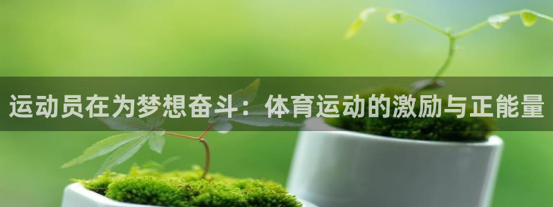 中欧体育ac米兰