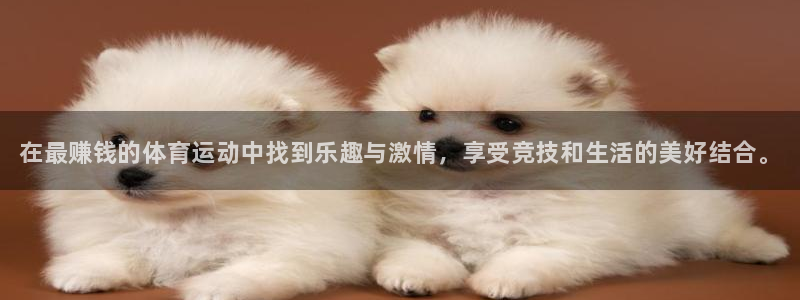 中欧体育官网
