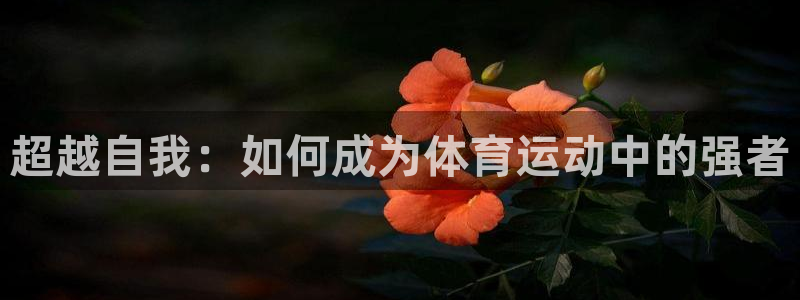 中欧体育在线