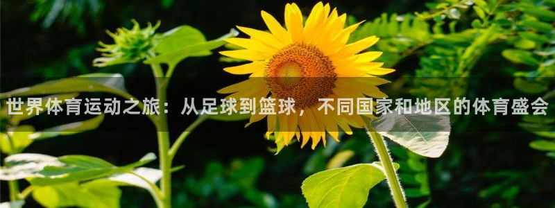 kok新版中欧体育