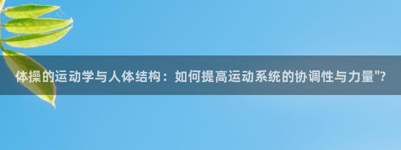 中欧体育kok