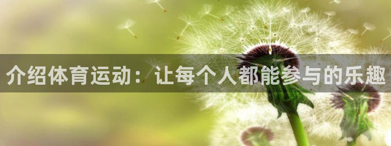 中欧体育集团