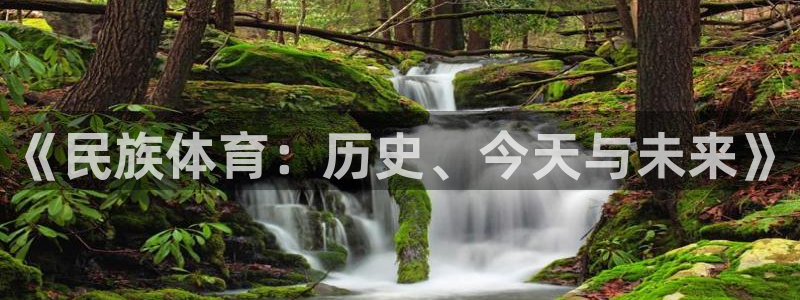 中欧体育下载