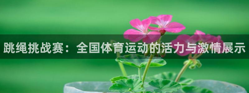 中欧体育下载