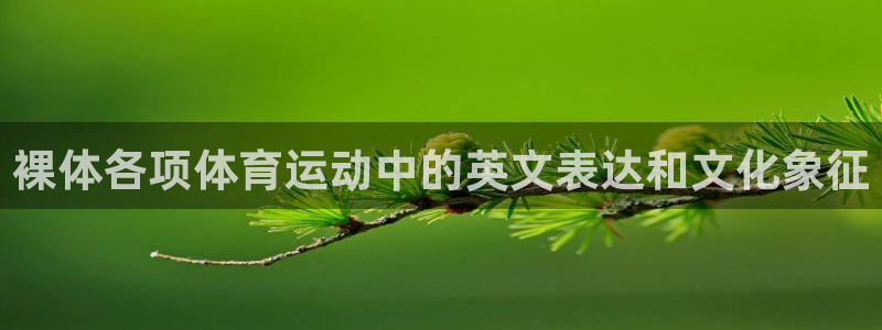 中欧体育zoty下载：裸体各项体育运动中的英文表达和文化象征