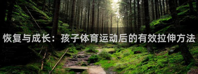 中欧体育登录：恢复与成长：孩子体育运动后的有效拉伸方法