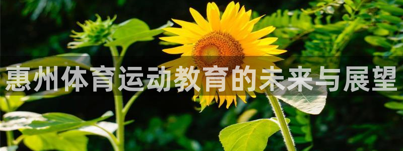 中欧体育app：惠州体育运动教育的未来与展望